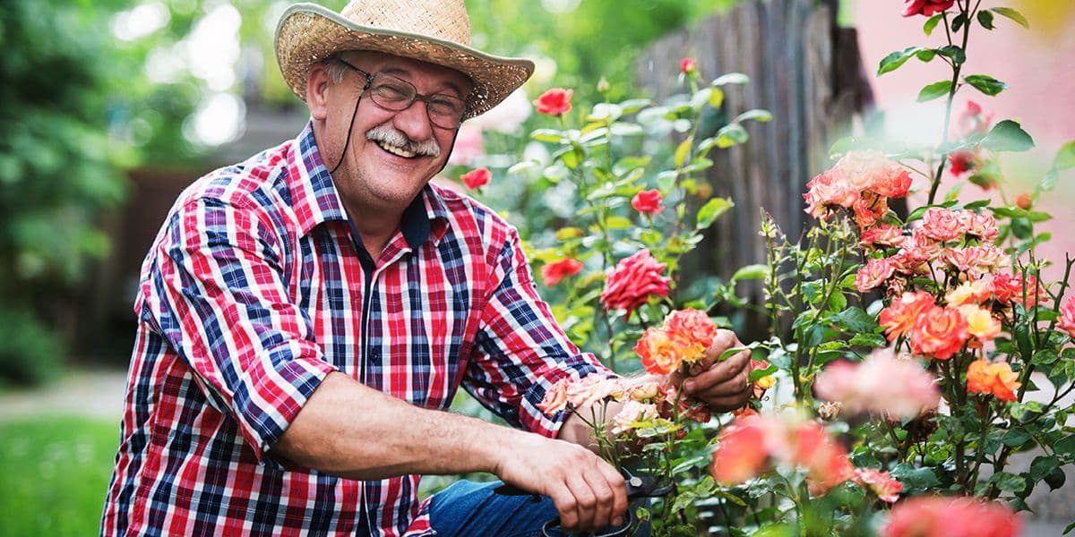senior man in garden